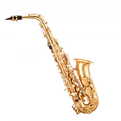 Alto Saxophone E Flat Brass Saxophone Beginner Kit with Carrying Case