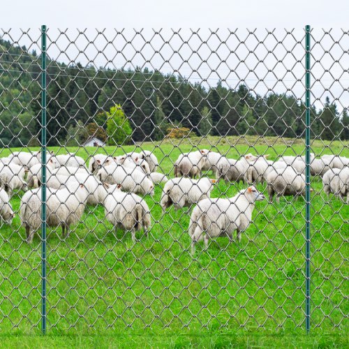 7 Feet Fence Post 10 Pack UChannel Heavy Duty Metal Fence Posts Sturdy