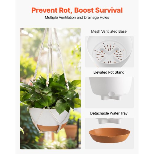 Hanging Planters 10 Inch SelfWatering Hanging Planter 2 Pack Flower Pots