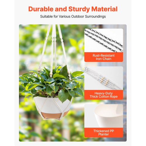 Hanging Planters 10 Inch SelfWatering Hanging Planter 2 Pack Flower Pots