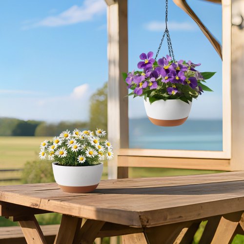 Hanging Planters 10 Inch SelfWatering Hanging Planter 2 Pack Flower Pots