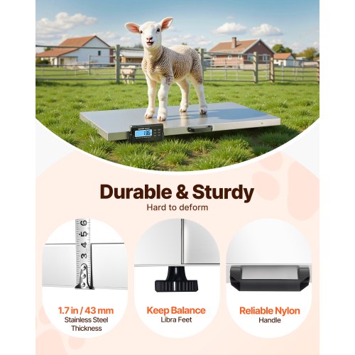 1100Lbs x 02Lbs Digital Livestock Scale Large Pet Vet Scale Stainless Steel