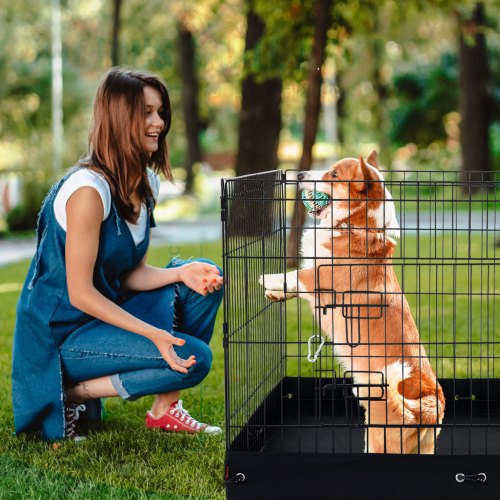 Dog Playpen 4 Pcs 24 x 36 in Panels Foldable Metal Pet Exercise Pen Dog