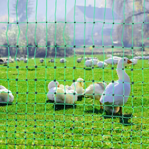 Electric Fence Netting 48 H x 168 L PE Net Fencing Kit with Posts