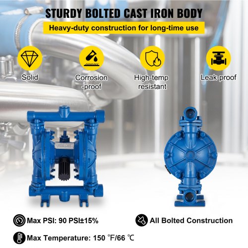AirOperated Double Diaphragm Pump 12 in Inlet Outlet Cast Iron Body 3