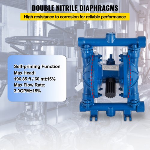 AirOperated Double Diaphragm Pump 12 in Inlet Outlet Cast Iron Body 3