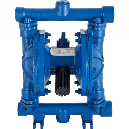 AirOperated Double Diaphragm Pump 12 in Inlet Outlet Cast Iron Body 3