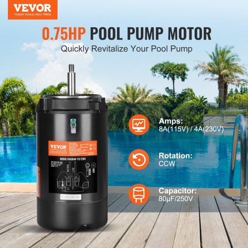 0.75 HP Pool Pump Motor 56J Frame 115V 8 Amps/230V 4 Amps 3450 RPM