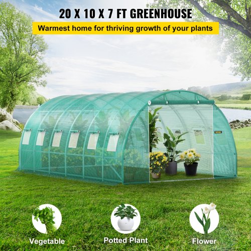 Walkin Tunnel Greenhouse 20 x 10 x 7 ft Portable Plant Hot House