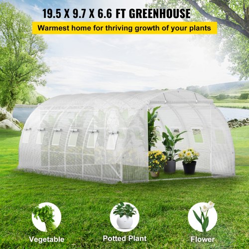 20 x 10 x 7 ft Walkin Tunnel Greenhouse Portable Plant Hot House