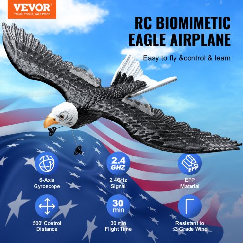 RC Plane 24GHZ 2 Channel Remote Control Airplane with 6Axis Gyro