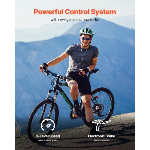 250W Electric Powerful DC Motor Kit – 24V 2700rpm Brushed Motor with Upgraded