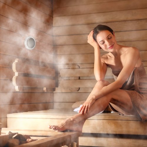 Steam Generator 6 kW Steam Shower System with Controller for Home Sauna