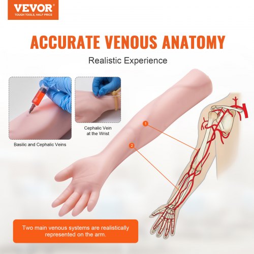 Phlebotomy Practice Kit IV Venipuncture Intravenous Training Kit High
