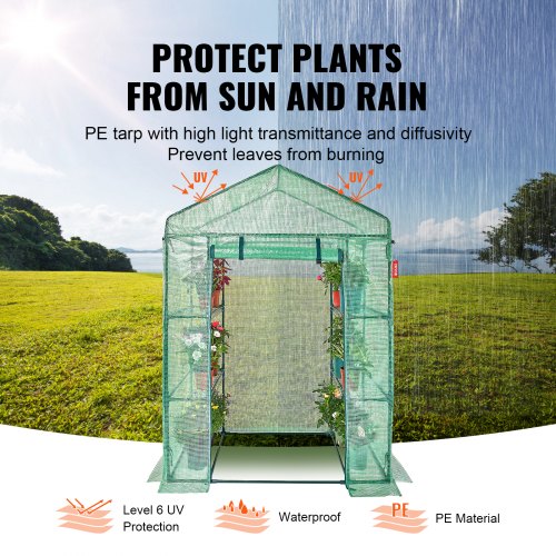 Walkin Green House 46 x 24 x 6.7 ft Greenhouse with Shelves High