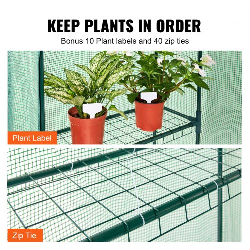 Walkin Green House 46 x 24 x 6.7 ft Greenhouse with Shelves High