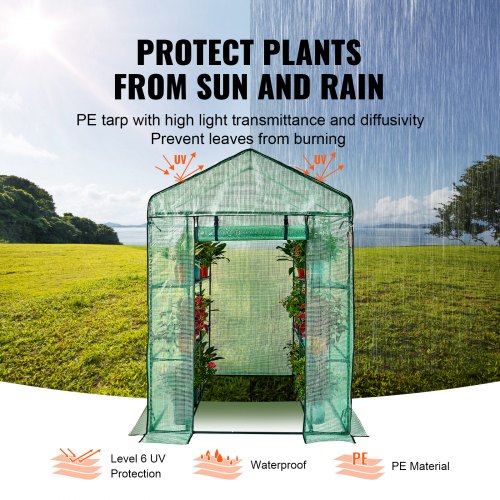 Walkin Green House 46 x 46 x 6.6 ft Greenhouse with Shelves High