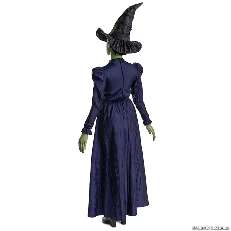 Women’s Deluxe Wicked Elphaba Costume - Extra Large 18-20