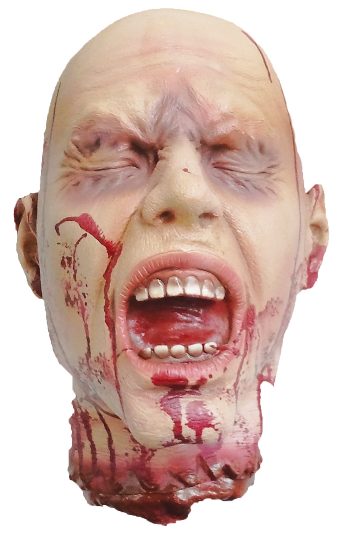 13" Severed Head Prop | Halloween Decoration