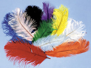 OSTRICH PLUMES PINK