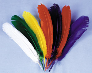 INDIAN FEATHERS WHITE
