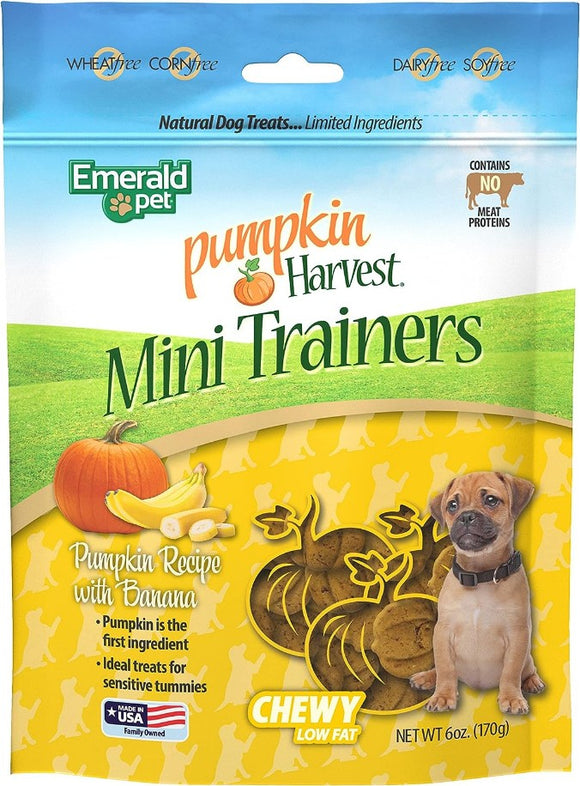 Emerald Pet Pumpkin Harvest Mini Trainers with Banana Chewy Dog Treats