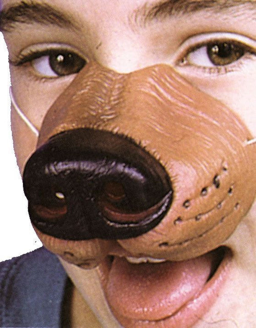 Dog Nose
