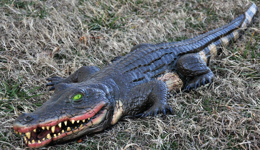 4' Swamp Alligator Halloween Decoration