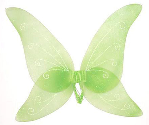 Adults Green Fairytale Wings