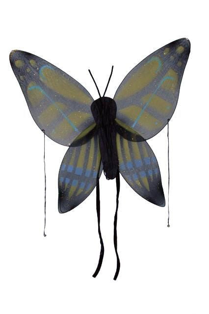 Kids Yellow & Green Butterfly Wings | Yellow/Green