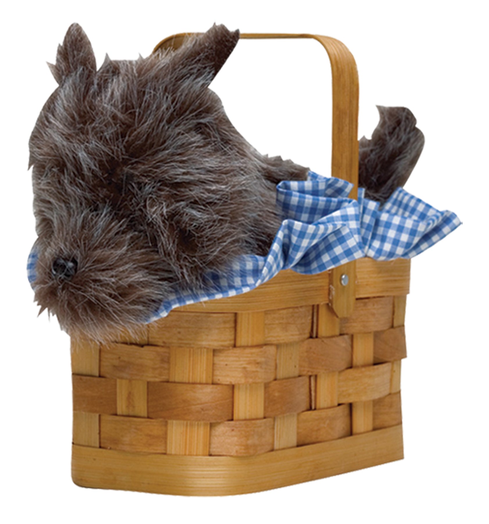 Purse Doggie Basket Pet Costume