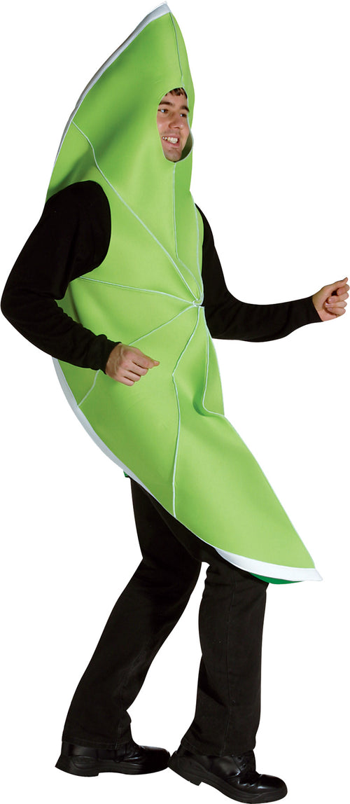 Mens | Adult Lime Costume