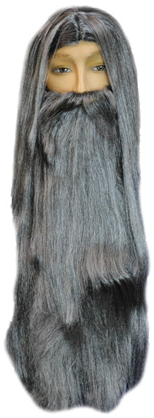 Gray Special Bargain Wizard Beard & Wig