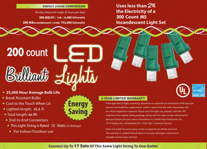 HOLIDAY LIGHTS 200L M5 PURE WT