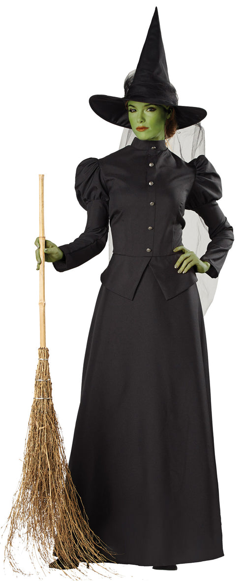 Womens Deluxe Classic Witch Costume - Small