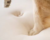 Paw Puprug Animal Print Memory Foam Dog Bed Brown Faux Cowhide