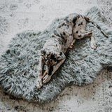 Paw PupRug Faux Fur Orthopedic Dog Bed Grey