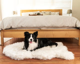 Paw PupRug Faux Fur Orthopedic Dog Bed White