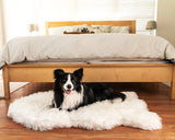 Paw PupRug Faux Fur Orthopedic Dog Bed White