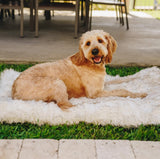 Paw PupRug Orthopedic Dog Bed White Small / Medium