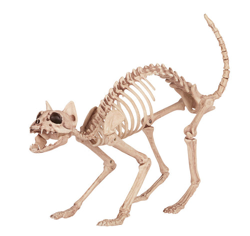 Skeleton Cat | Halloween Decoration