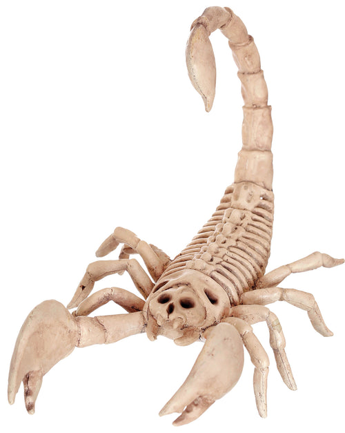 Scorpion Skeleton Halloween Decoration