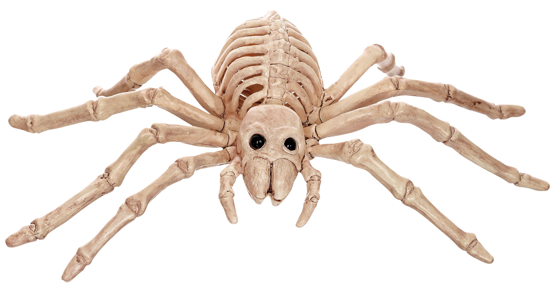 Skeleton Spider Decoration | Halloween Decoration