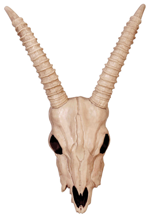 Gazelle Skeleton Skull Halloween Decoration