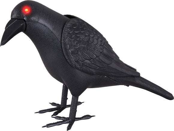 Animated Crow