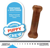 Nylabone Puppy Chew Starter Kit