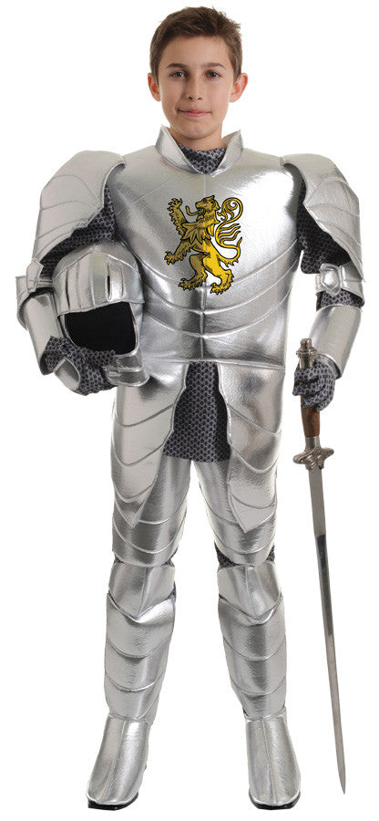 Boys Knight Costume